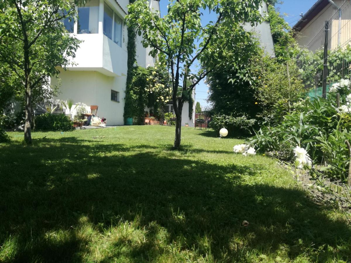 Casa Zora Daire Alba Iulia Dış mekan fotoğraf