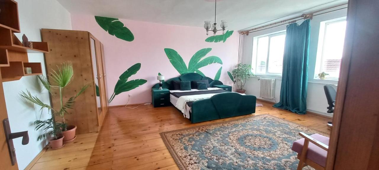 Casa Zora Daire Alba Iulia Dış mekan fotoğraf
