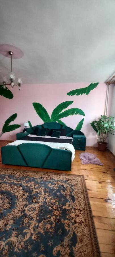 Casa Zora Daire Alba Iulia Oda fotoğraf